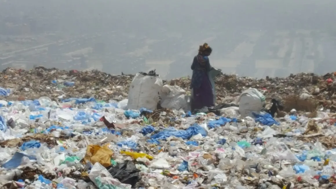 The recyclers (Courtesy photo: Dr. Thanos Bourtsalas)
